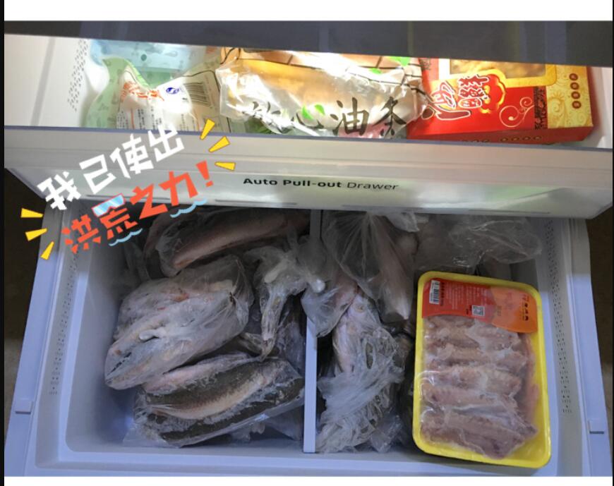 液氮速冻鱼复活原理是什么，活鱼直接冻冰箱里保鲜可以吗？