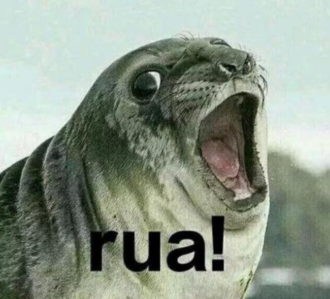 网络语女生说rua是什么意思，rua死你是什么意思？