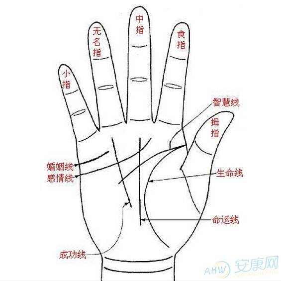 什么手相的男人财运好？旺财运手相的人注定有钱