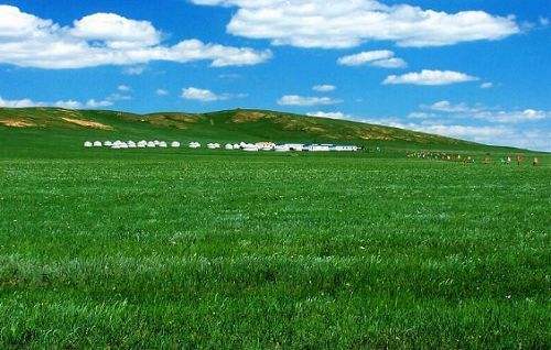 内蒙古哪个草原最好玩？内蒙古草原什么时候去最适合
